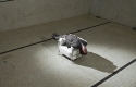 florian feigl_05